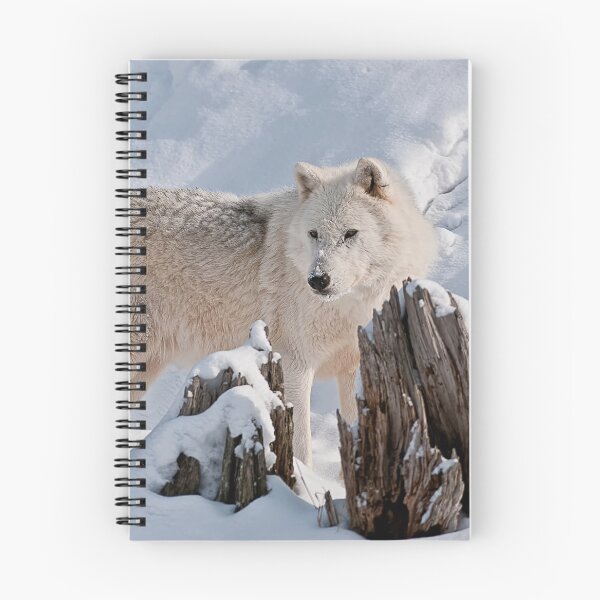 Artikelvorschau, Arctic Wolf entworfen und verkauft von WolvesOnly.