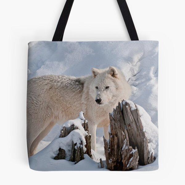Artikelvorschau, Arctic Wolf entworfen und verkauft von WolvesOnly.