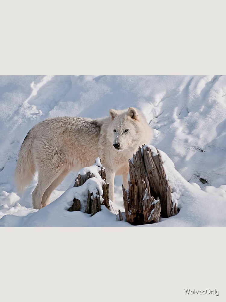 Thumbnail 6 von 6, Premium Oversized Pullover, Arctic Wolf designt und verkauft von WolvesOnly.