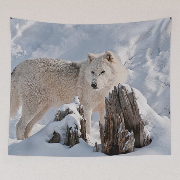Item preview, Arctic Wolf designed and sold by WolvesOnly.