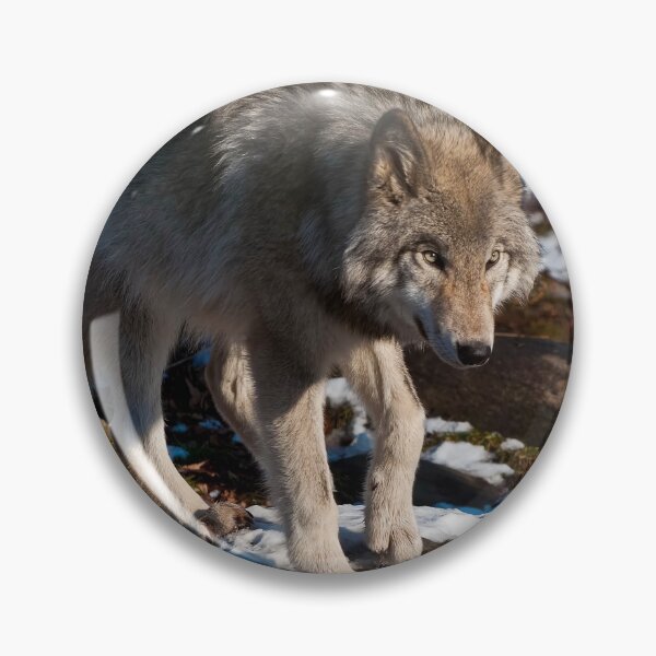 Item preview, Timber Wolf designed and sold by WolvesOnly.