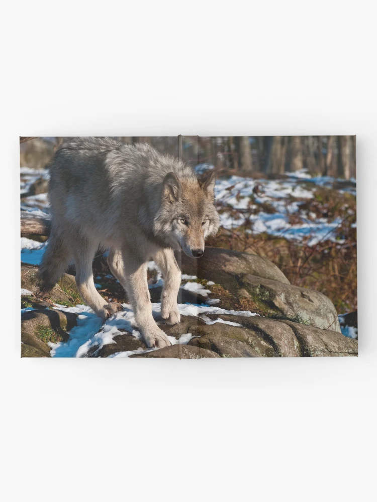 Thumbnail 2 of 3, Journal, Timber Wolf designed and sold by WolvesOnly.