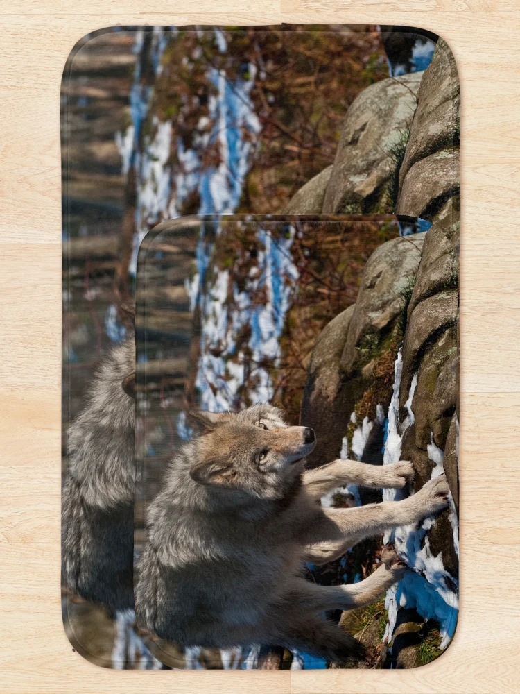 Thumbnail 5 of 6, Bath Mat, Timber Wolf designed and sold by WolvesOnly.