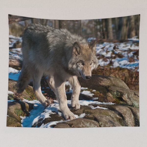 Item preview, Timber Wolf designed and sold by WolvesOnly.