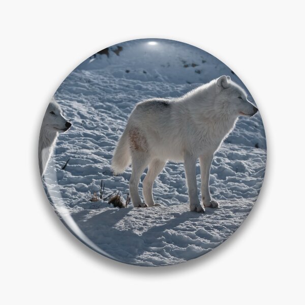 Item preview, Arctic Wolves In Early Morning designed and sold by WolvesOnly.
