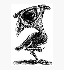 Bird? Photographic Print