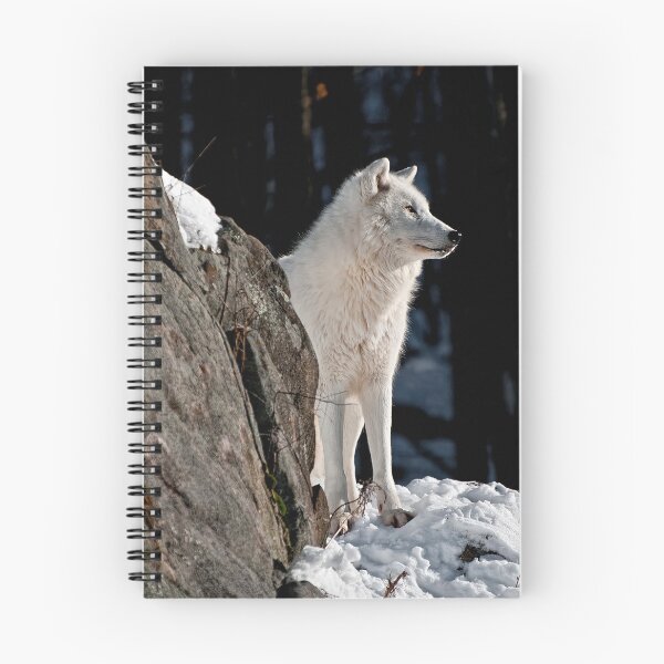 Artikelvorschau, Arctic Wolf entworfen und verkauft von WolvesOnly.