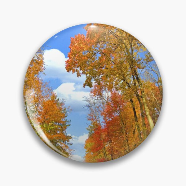 Artikelvorschau, Brady's Lake, Autumn Scenic, Pennsylvania entworfen und verkauft von AMacGPhilly.