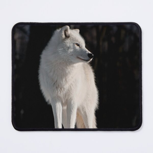 Item preview, Arctic Wolf designed and sold by WolvesOnly.
