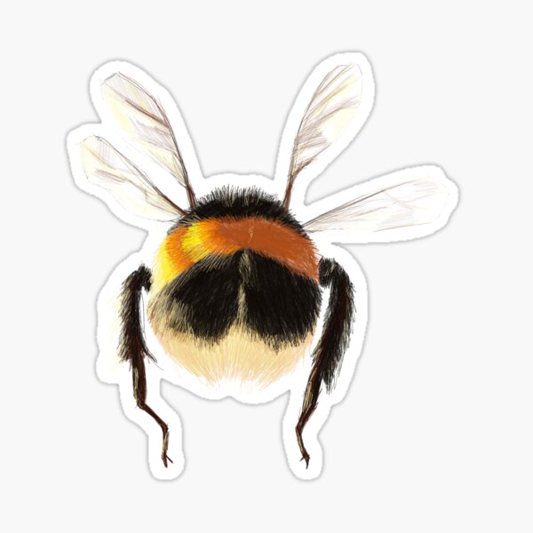 Item preview, Bumble bee booty designed and sold by Vilmaesthetics.