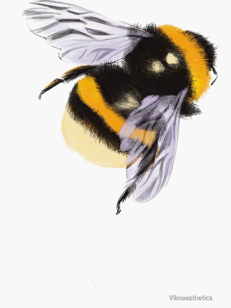 🐝 SWEET LIL' BUMBLEBEE 🐝