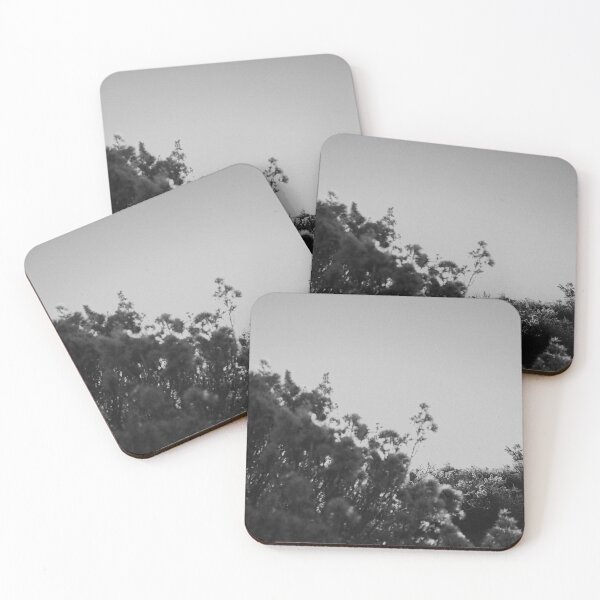 Item preview, Black and White Flowers - Nature Images designed and sold by brookemiller801.