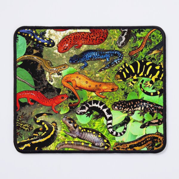 Item preview, NEWTS AND SALAMANDERS designed and sold by ICONIC-SONIC Shop.