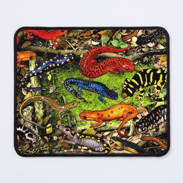 Item preview, SALAMANDERS AND NEWTS designed and sold by ICONIC-SONIC Shop.