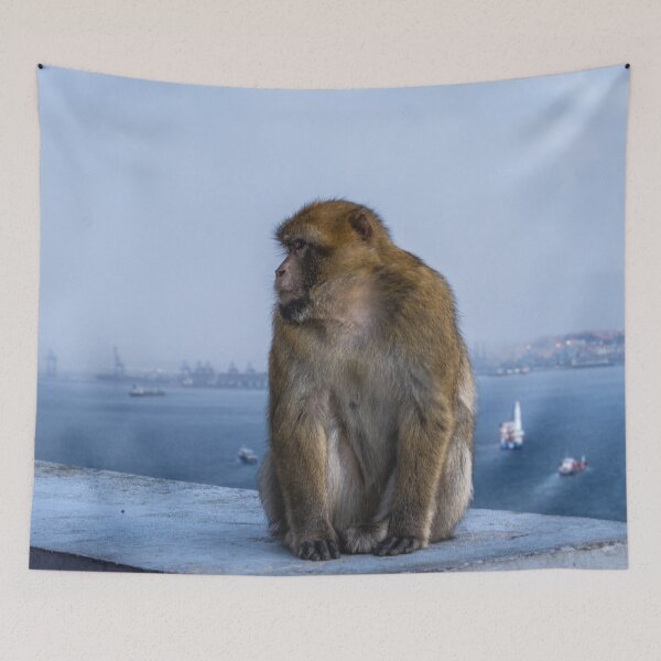 Item preview, Monkey Sea Monkey Sit, Strait Of Gibraltar designed and sold by SaraMargolis.