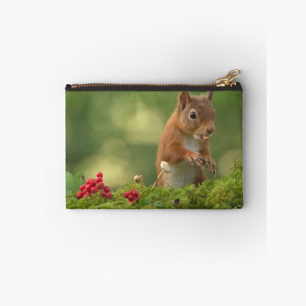 Item preview, Red Squirrel designed and sold by Macrae images.