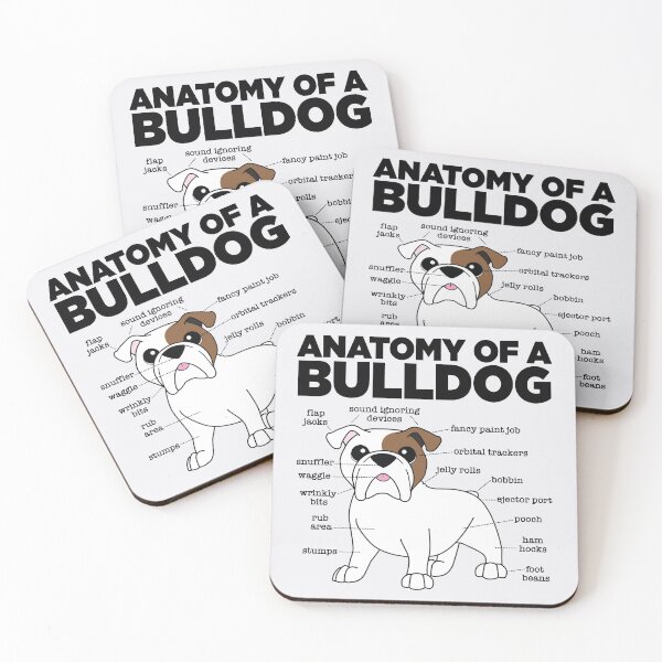 Artikelvorschau, Anatomie einer Bulldogge entworfen und verkauft von mstiv.