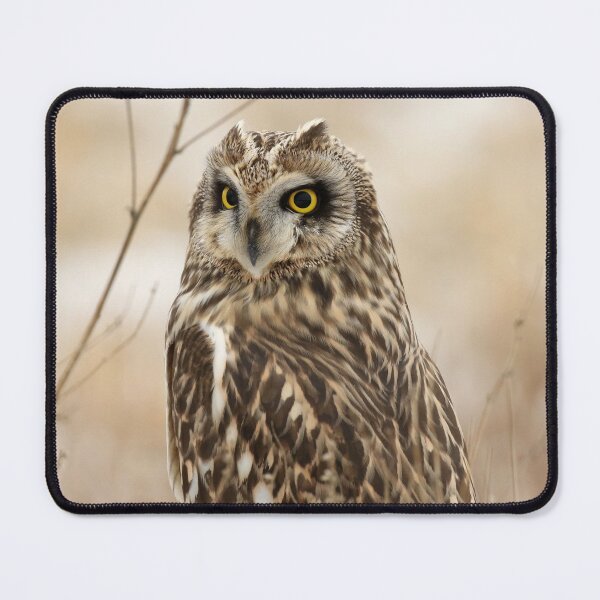 Item preview, Short eared owl portrait designed and sold by locustgirl.