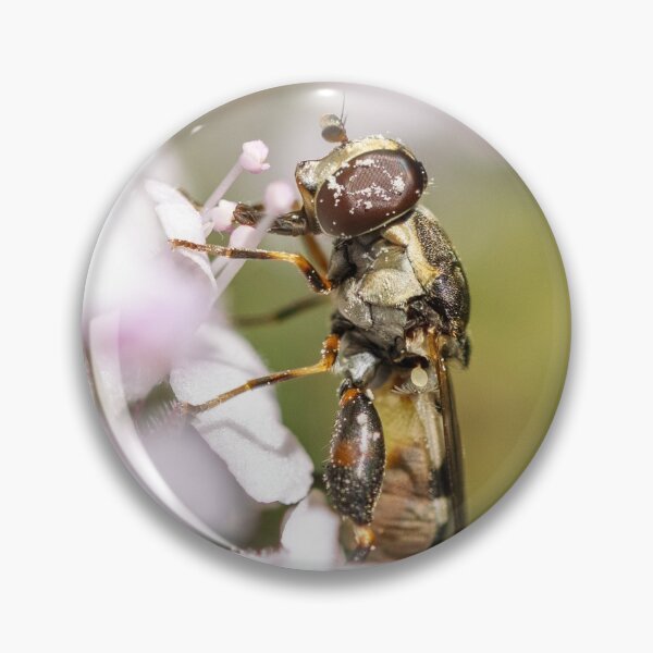 Item preview, Thick-Legged Hoverfly designed and sold by strangecharmart.