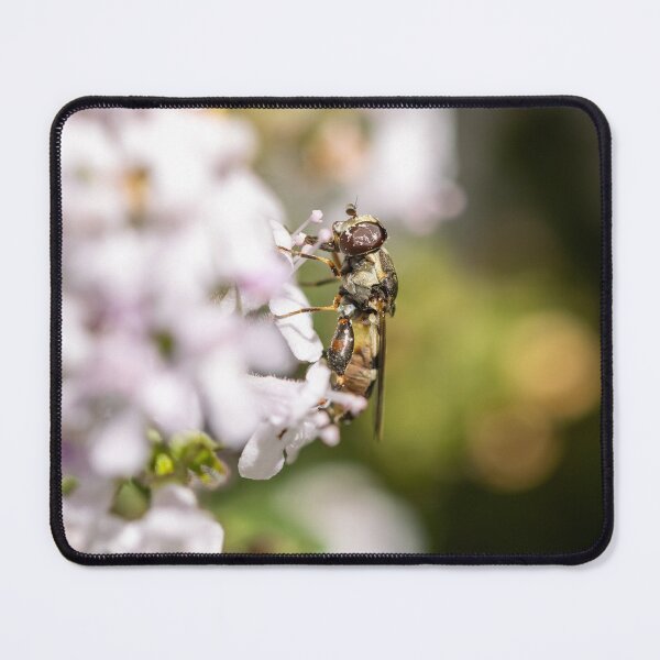 Item preview, Thick-Legged Hoverfly designed and sold by strangecharmart.