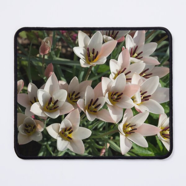 Item preview, A Bunch of Miniature Tulips Celebrating the Spring Season designed and sold by Georgia Mizuleva.