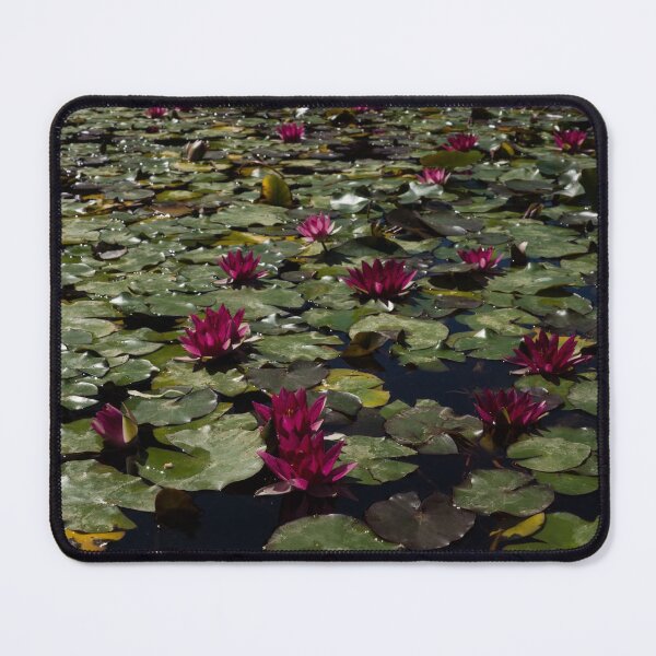 Item preview, A Profusion of Cardinal Red Waterlilies designed and sold by Georgia Mizuleva.