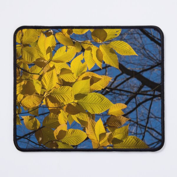 Item preview, Sapphire and Gold - Blue Sky, Golden Leaves & Bright Sunlight designed and sold by Georgia Mizuleva.