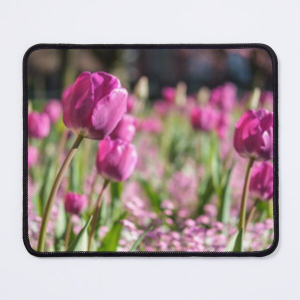 Item preview, Tulips, Queen's University Belfast designed and sold by Dbanksdesign.