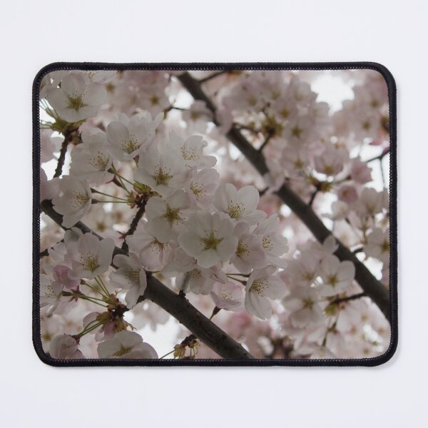 Item preview, Spring is Beautiful - A Cloud of Pastel Pink Blossoms designed and sold by Georgia Mizuleva.