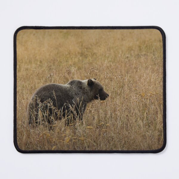Item preview, 406 - Montana - Young Grizzly Bear in Fall designed and sold by Gilby-Designs.