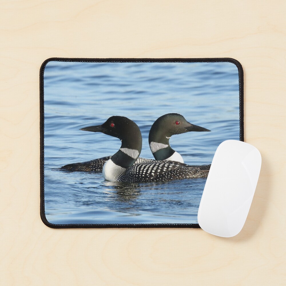 Northern Loon Aquatic Bird Lover Sweatshirt
