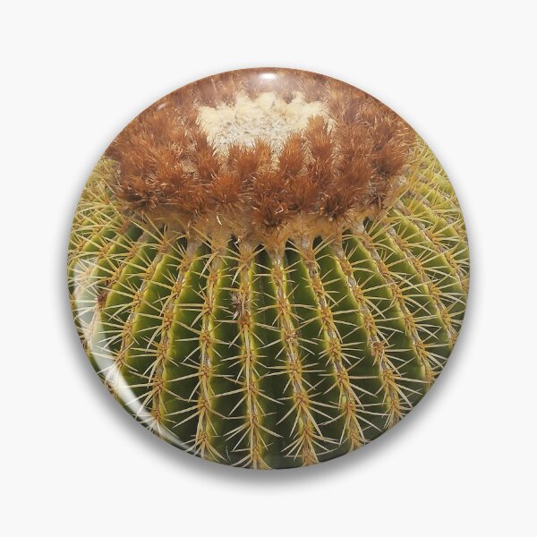 Item preview, Barrel Cactus designed and sold by blakcirclegirl.