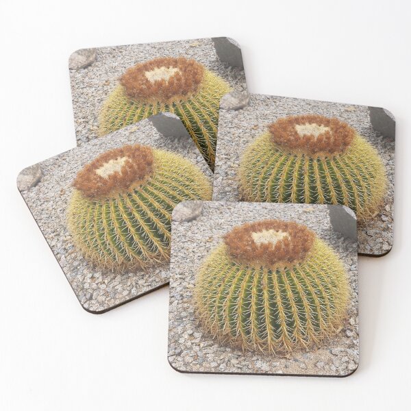 Item preview, Barrel Cactus designed and sold by blakcirclegirl.