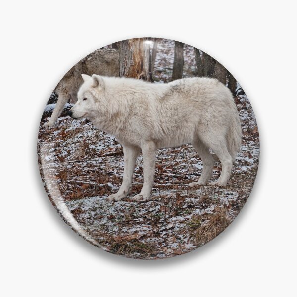 Item preview, Arctic Wolves In The Woods designed and sold by WolvesOnly.