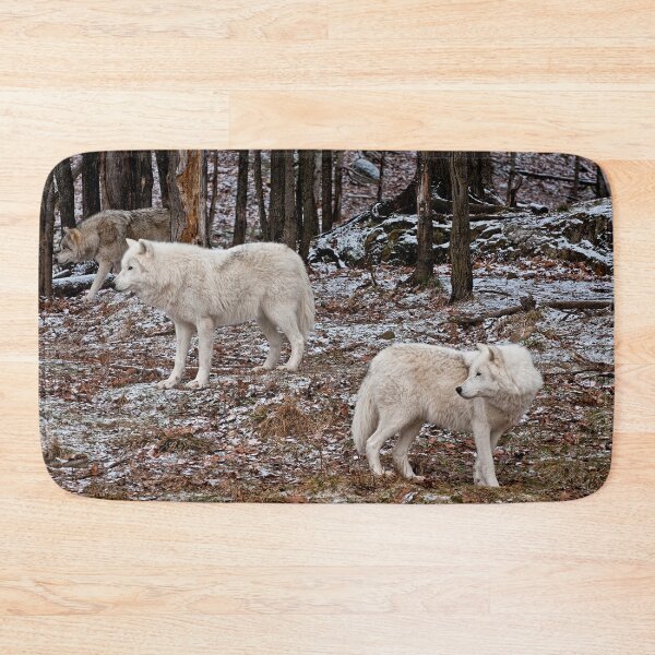 Artikelvorschau, Arctic Wolves In The Woods entworfen und verkauft von WolvesOnly.