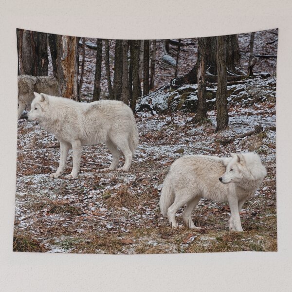 Item preview, Arctic Wolves In The Woods designed and sold by WolvesOnly.