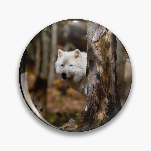 Artikelvorschau, Arctic Wolf entworfen und verkauft von WolvesOnly.