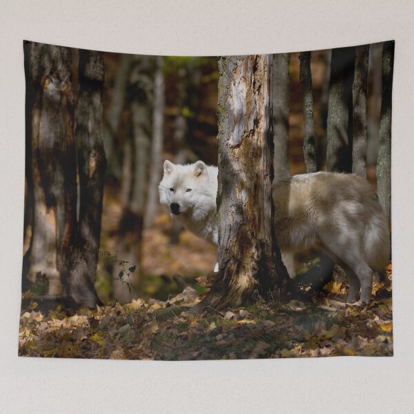Item preview, Arctic Wolf designed and sold by WolvesOnly.