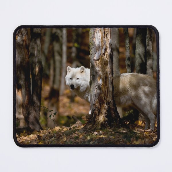 Item preview, Arctic Wolf designed and sold by WolvesOnly.