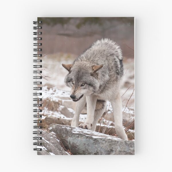 Item preview, If Looks Could Kill designed and sold by WolvesOnly.