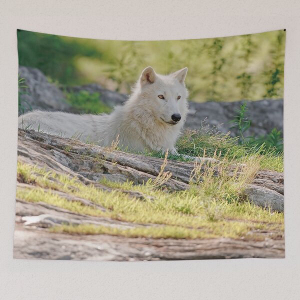 Item preview, Lazy Days designed and sold by WolvesOnly.