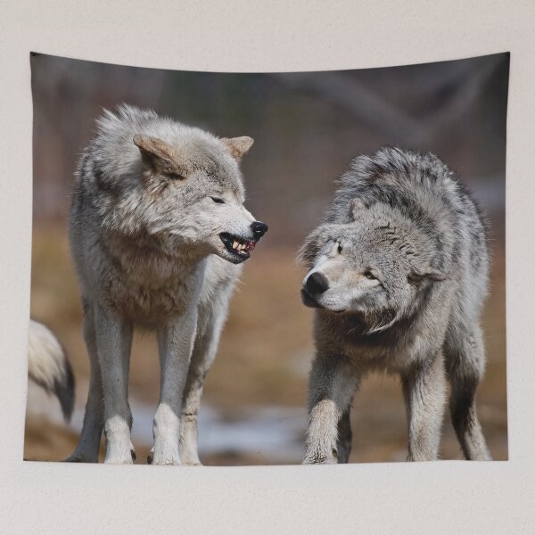 Artikelvorschau, Are you Listening entworfen und verkauft von WolvesOnly.