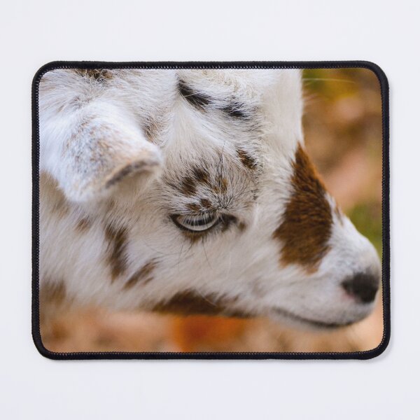 Item preview, Baby Goat designed and sold by l-n-designs.
