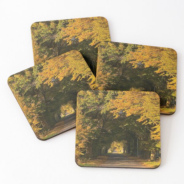 Item preview, Tree-lined, cobblestone alley in autumn on Rügen Island, DE designed and sold by Michael Brewer.