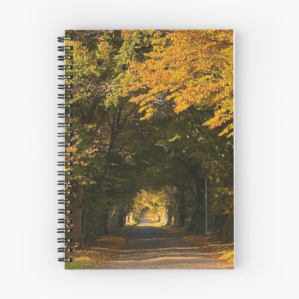 Item preview, Tree-lined, cobblestone alley in autumn on Rügen Island, DE designed and sold by Michael Brewer.