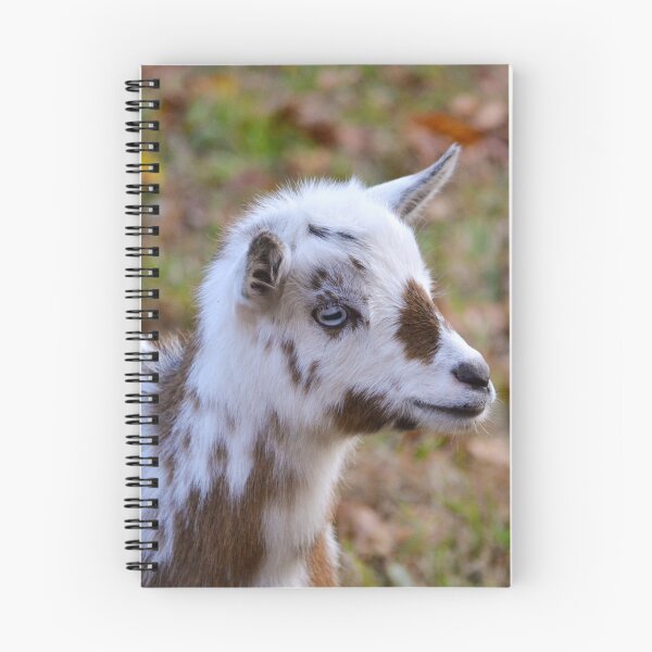 Item preview, Spotted Goat designed and sold by l-n-designs.