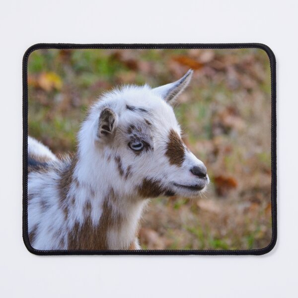 Item preview, Spotted Goat designed and sold by l-n-designs.