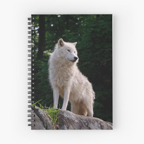 Item preview, The Guardian designed and sold by WolvesOnly.