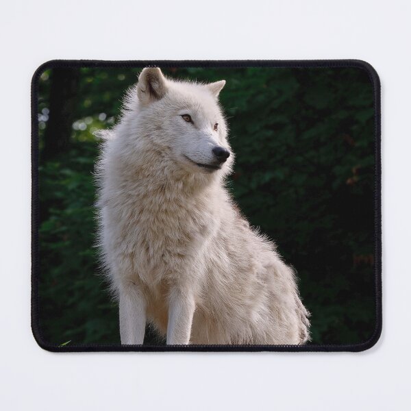 Item preview, The Guardian designed and sold by WolvesOnly.