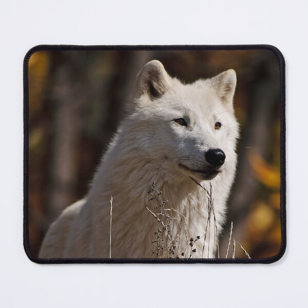 Item preview, Arctic Wolf designed and sold by WolvesOnly.